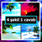 4 şəkil 1 cavab 아이콘