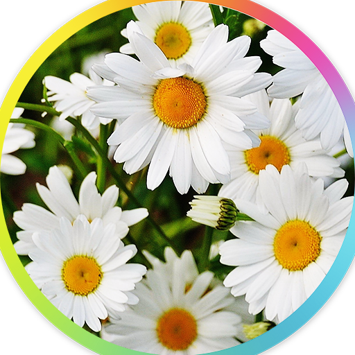 Flowers wallpaper for mobile