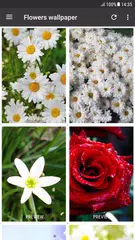 Flowers wallpaper for mobile APK download