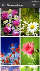 Flowers wallpaper for mobile APK download