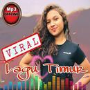 Lagu Timur Viral Mp3 Offline APK