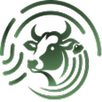 Gekis APK