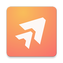 AlgoApp - Flashcards APK