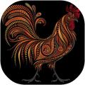Chicken Wallpaper HD