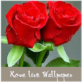 3D Rose live wallpaper أيقونة