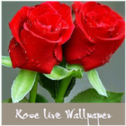 3D Rose live wallpaper آئیکن