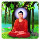 Buddha HD Wallpapers 2025 APK