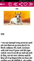Animal Information in Hindi capture d'écran 3