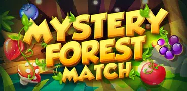 Mystery Forest 3-Gewinnt-Spiel
