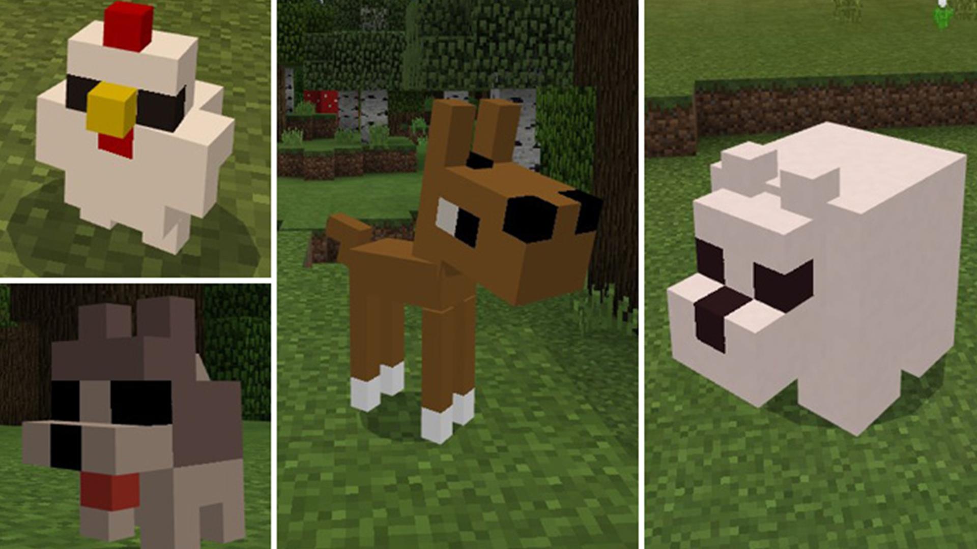 Animal Texture Pack for Android APK Download
