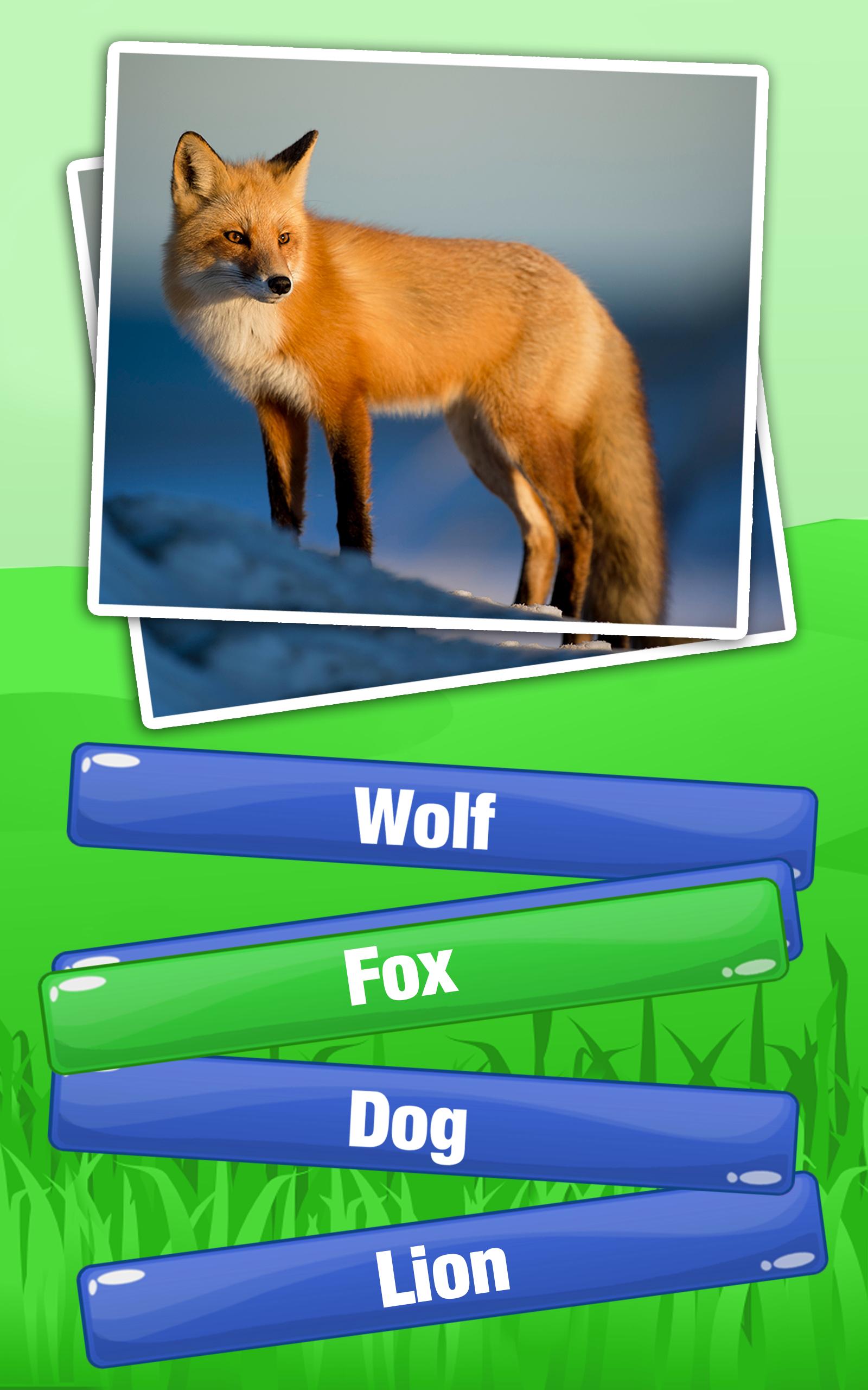 Guess The Animal Quiz Games Animal Trivia Games for