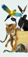 Voice For Animal Cartaz