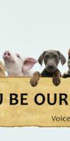 Voice For Animal imagem de tela 2