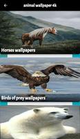 animal wallpaper 4k ภาพหน้าจอ 1
