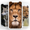 Animals wallpaper-APK