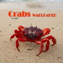 Crab Animal Wallpaper APK