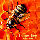 Honey Bee Animal hình nền APK