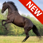 Horse Sounds Ringtones آئیکن