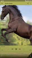 Horse Sounds Ringtones Poster