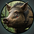 APK Animal Hunter: Wild Shooting