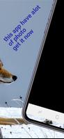 Animal 4k image 截图 1