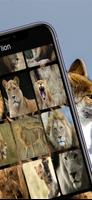 Animal 4k image 截图 2