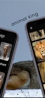 Animal 4k image 截图 3