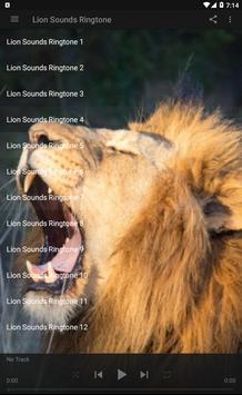 Lion Sounds Ringtone poster