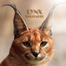 Lynx Animal Wallpaper APK
