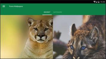 Puma Animal Wallpaper screenshot 3