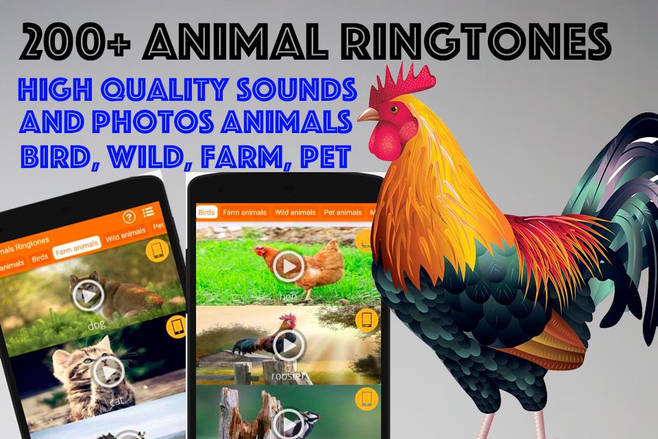 Animals Ringtones APK pour Android Télécharger Animals Ringtones APK pour Android Télécharger