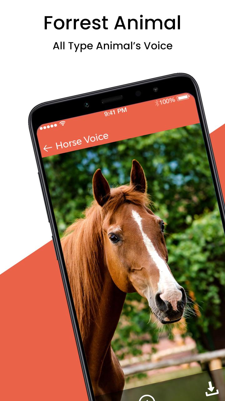 Animal Sound Ringtone APK for Android Download Animal Sound Ringtone APK for Android Download