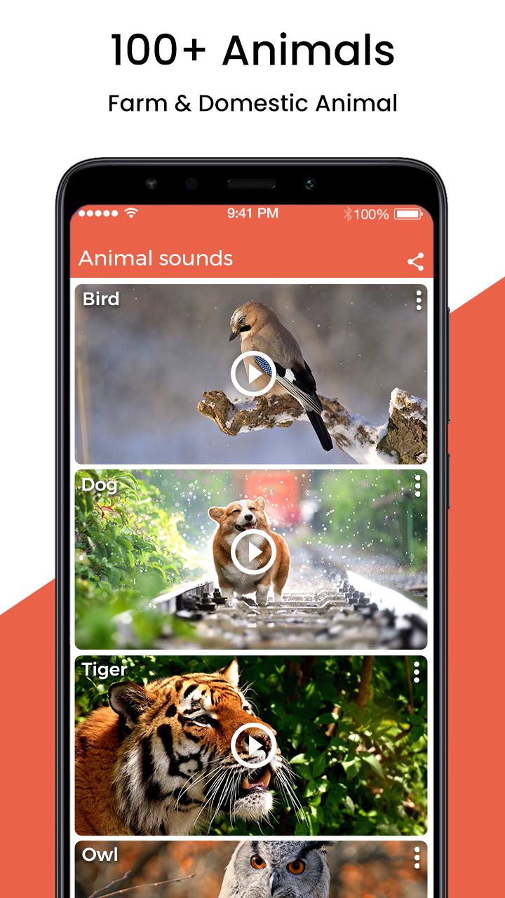 Animal Sound Ringtone APK for Android Download