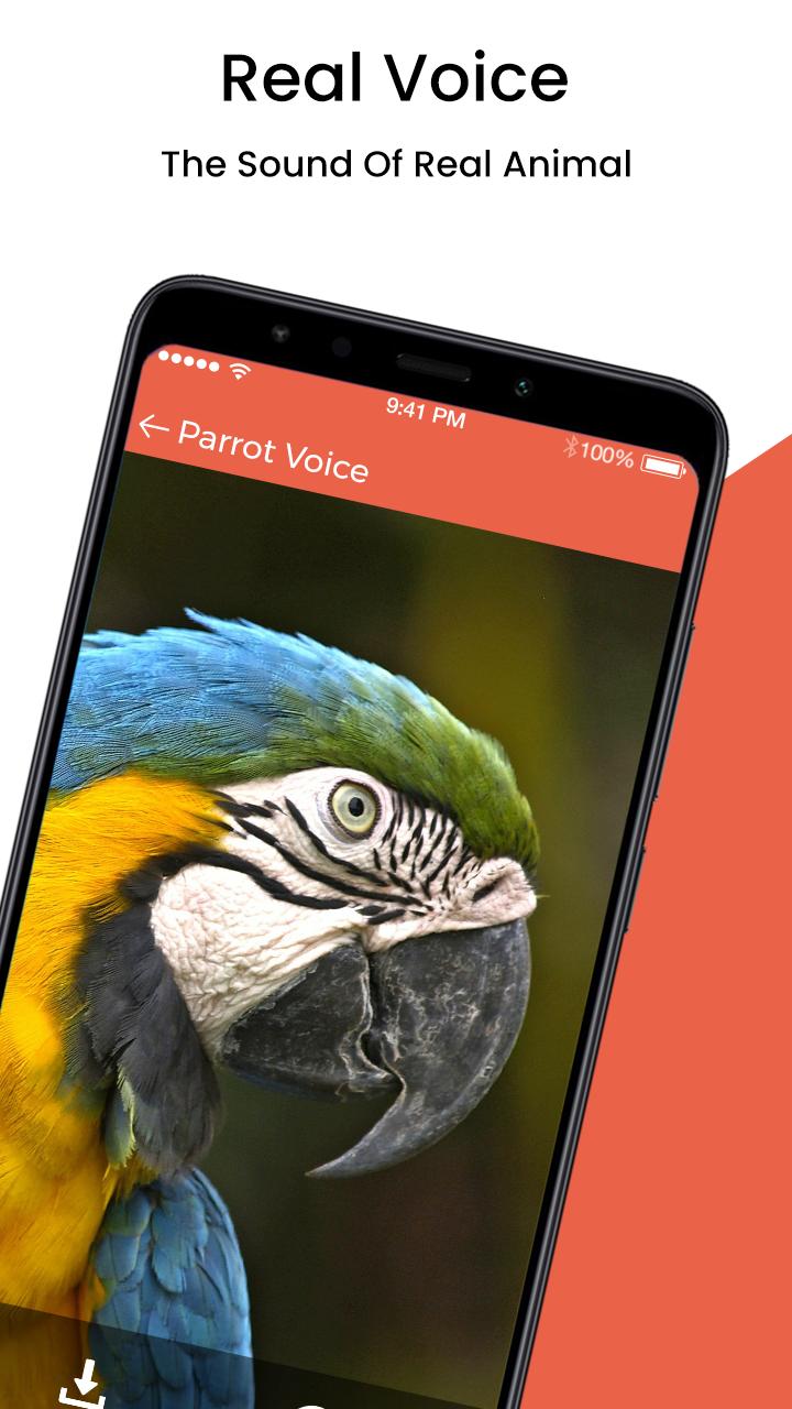Animal Sound Ringtone APK for Android Download Animal Sound Ringtone APK for Android Download