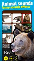 Animal Sounds الملصق