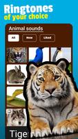 Animals & Birds Ringtones screenshot 1