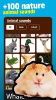 Animal Sounds تصوير الشاشة 2