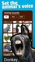 Animal Sounds تصوير الشاشة 3