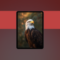Animal Wallpapers