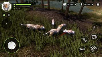 Wild Tiger Hunting Animal Life โปสเตอร์
