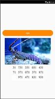 برنامه‌نما Animal Number Lottery عکس از صفحه