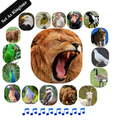 Natural Animal and Birds Sounds Ringtone