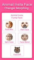 Animal Face Changer Plakat