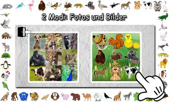 Tiergeräusche Screenshot 1