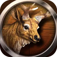 The Hunting World 3D shooting XAPK download