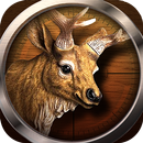 The Hunting World 3D shooting APK