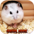 Animal House APK