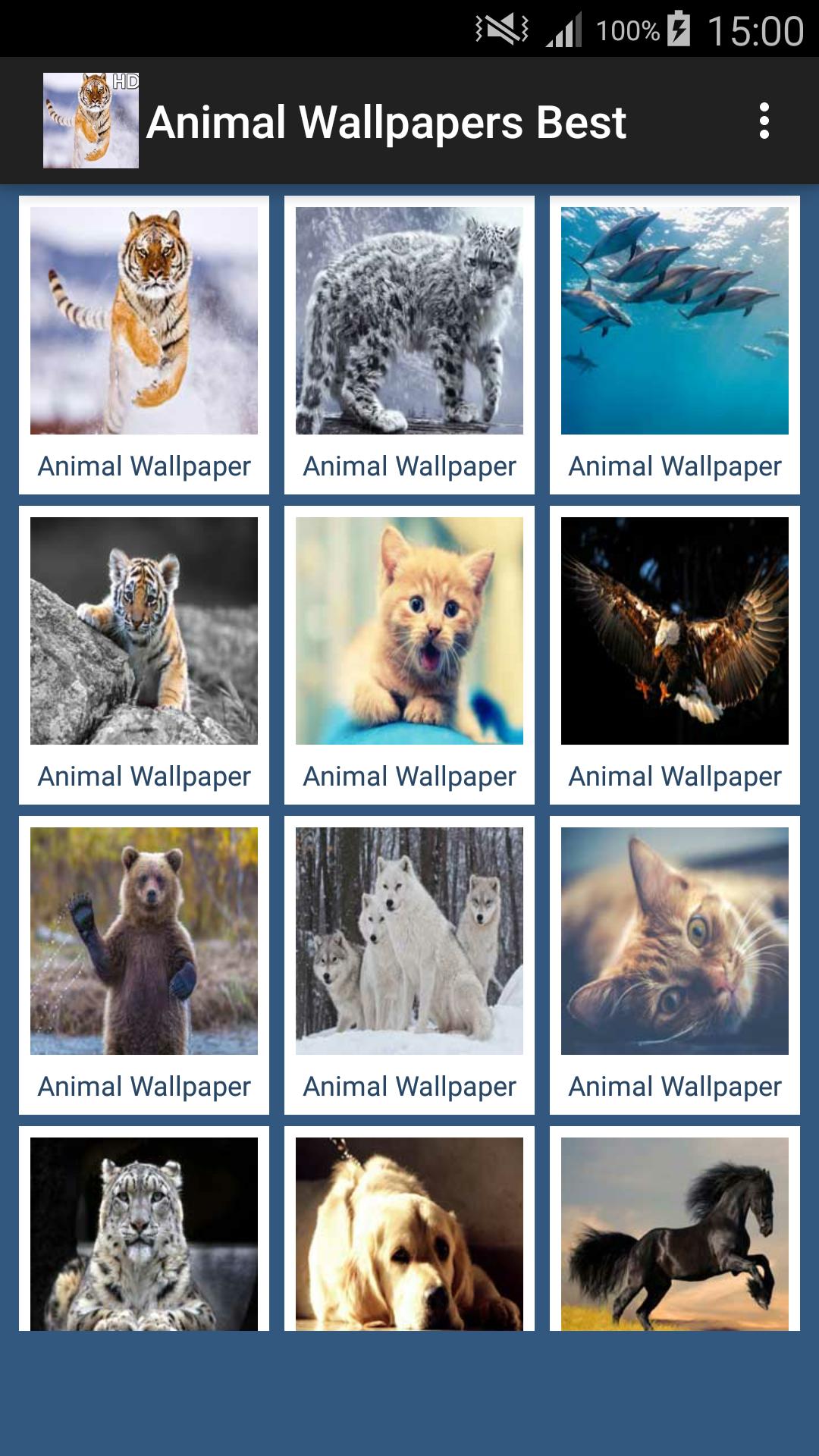 Animal Wallpapers App 🐈🐅🐎 : APK for Android Download Animal Wallpapers App 🐈🐅🐎 : APK for Android Download