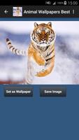 Animal Wallpapers App 🐈🐅🐎 : capture d'écran 1