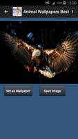 Animal Wallpapers App 🐈🐅🐎 : capture d'écran 2